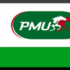 PMU