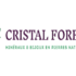 Cristal Forest